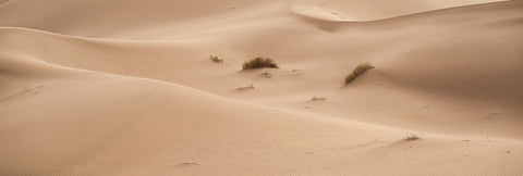 Dune